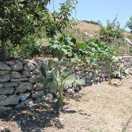Villa Old Winery House Kolymbari Esterno foto