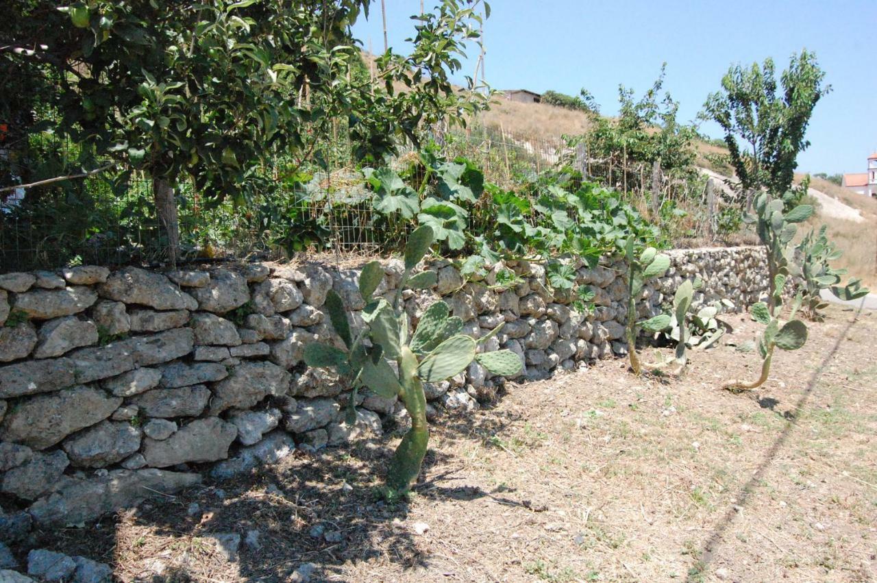Villa Old Winery House Kolymbari Esterno foto