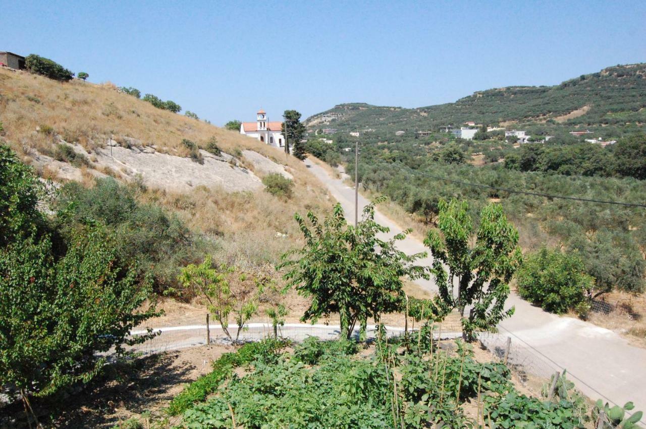 Villa Old Winery House Kolymbari Esterno foto