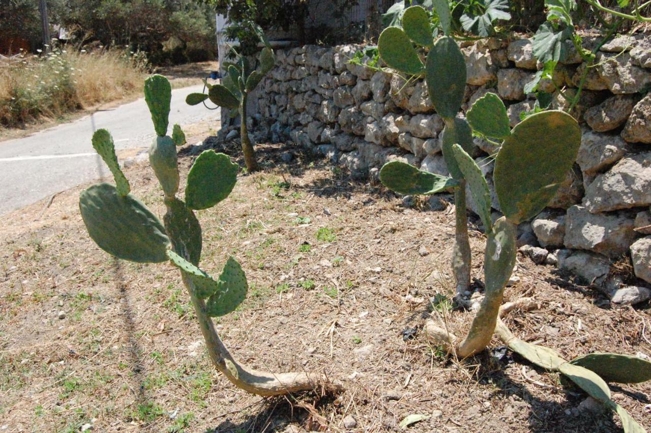 Villa Old Winery House Kolymbari Esterno foto