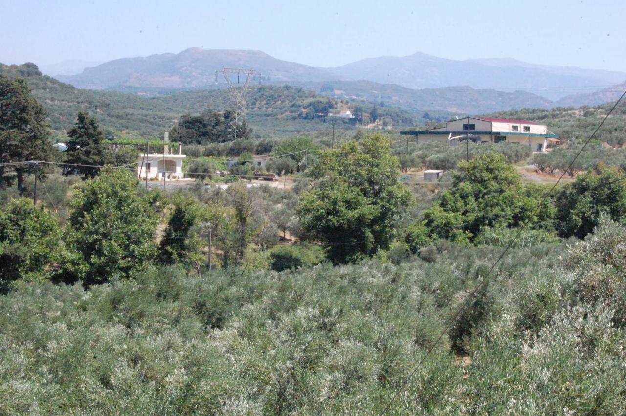 Villa Old Winery House Kolymbari Esterno foto